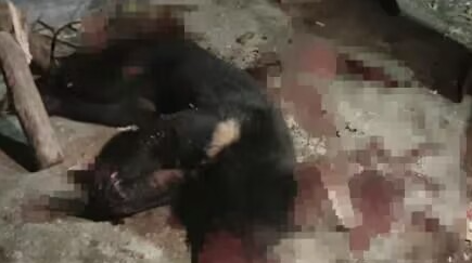 热点生活 第74页