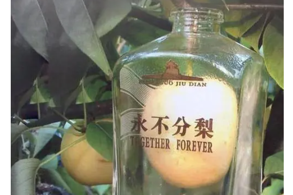 娱乐生活 第28页